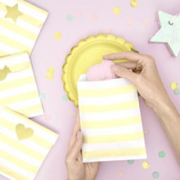 Sacos para Doces e Brindes