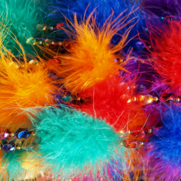 Ver tudo Carnaval