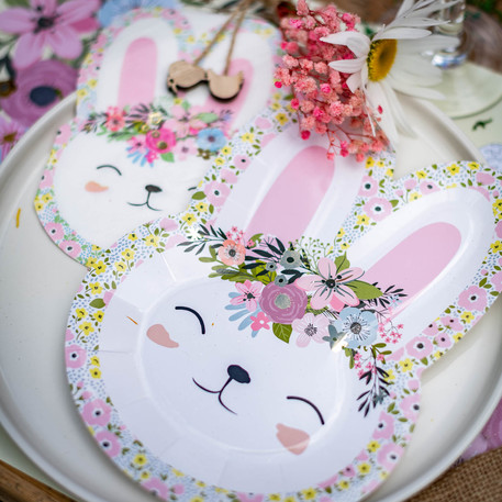 Pack para 6 pessoas Coelho