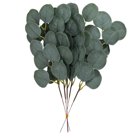 5 Ramos de Folhas de Eucalipto Verdes 35cm
