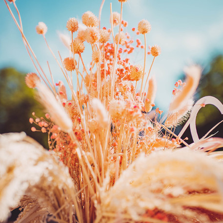Bouquet de Gipsófilos secos Rosa 25g / 80cm