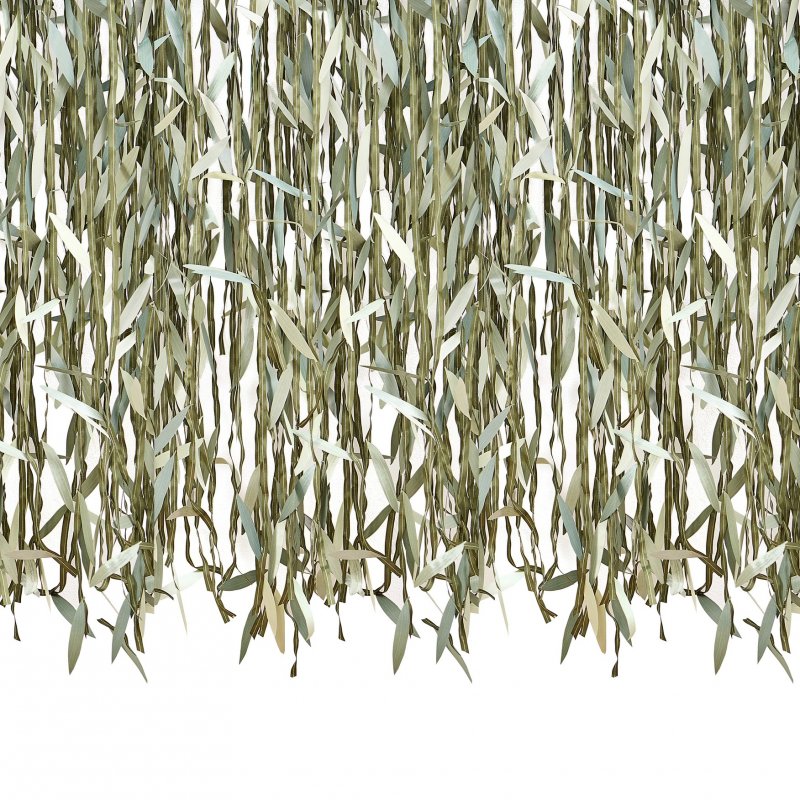 Backdrop folhas botânicas 100m