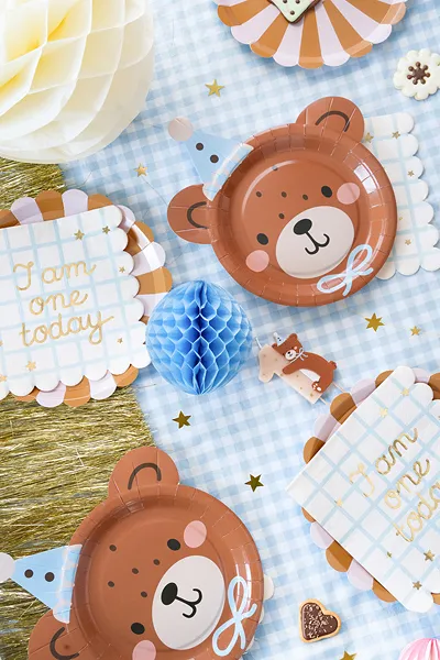6 Pratos 21x23cm Teddy Bear