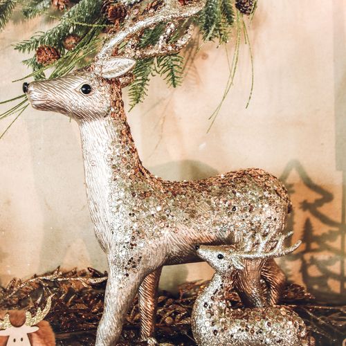 Rena Champanhe Mate, Glitter e Lantejoulas 45x34cm