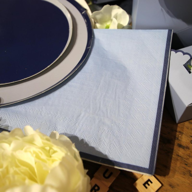 10 Guardanapos 33cm Azul Escuro e Azul Marinho