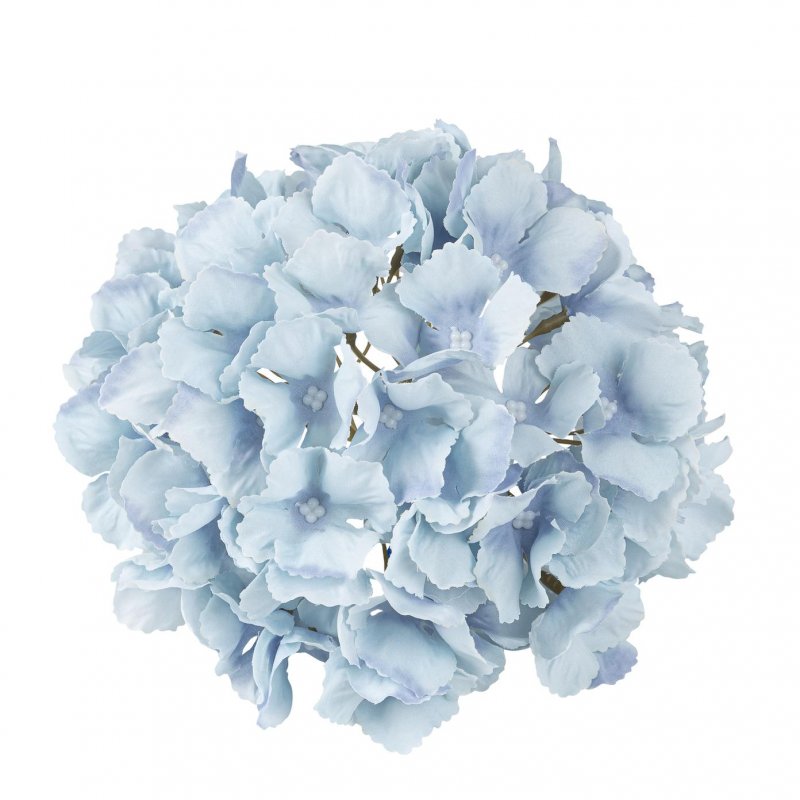 Cabeça de Hortênsia 19cm Azul