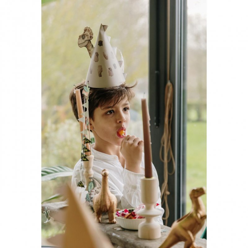 4 Chapéus 13x17,5cm Dinossauros