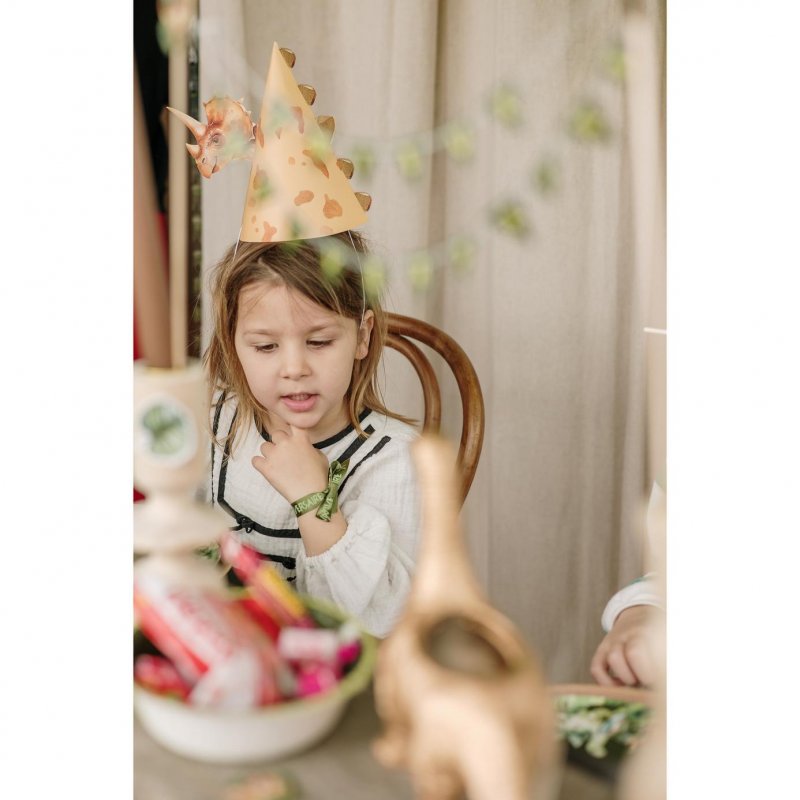 4 Chapéus 13x17,5cm Dinossauros