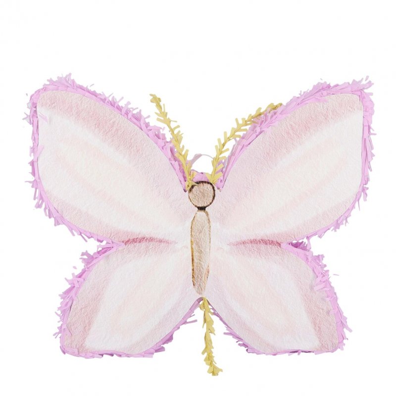 Pinhata 3D 45x36x8cm Borboleta