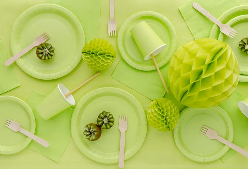 6 Pratos 18cm Verde Lima