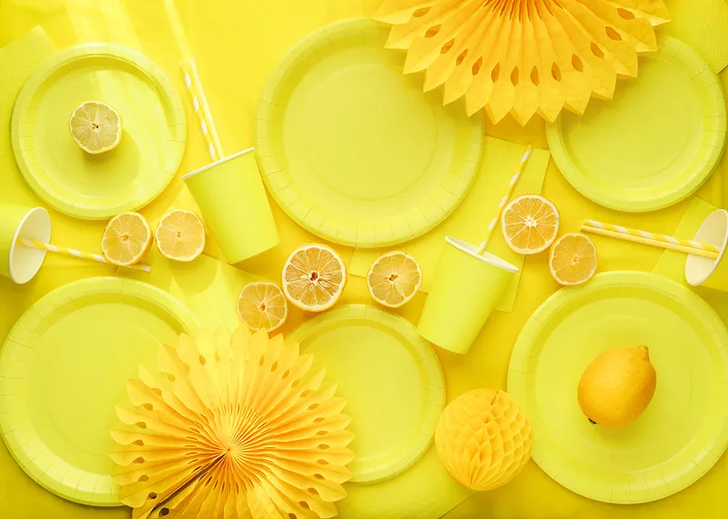 6 Pratos 23cm Amarelo