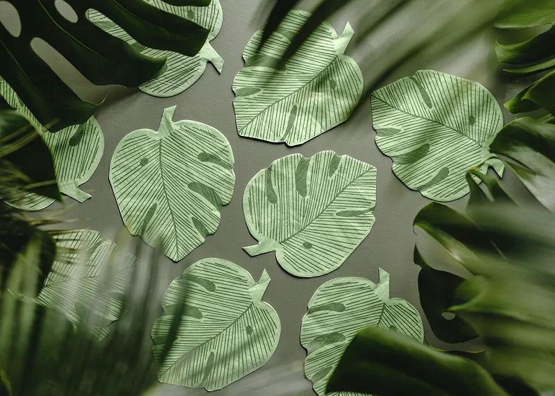 12 Guardanapos 29,1x36cm Folha Monstera