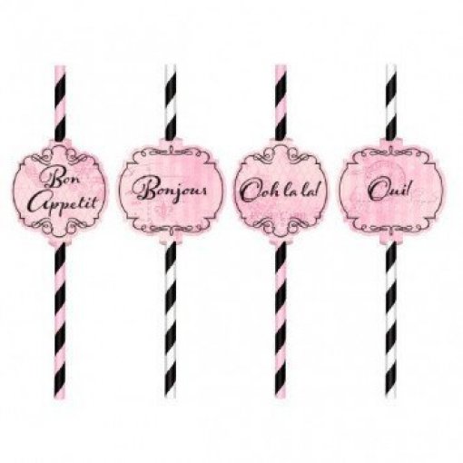 12 Palhinhas Papel A Day in Paris