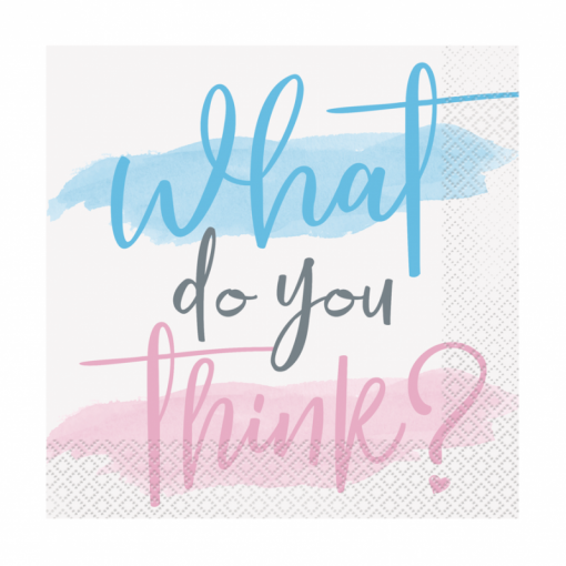 16 Guardanapos 33cm Gender Reveal Party